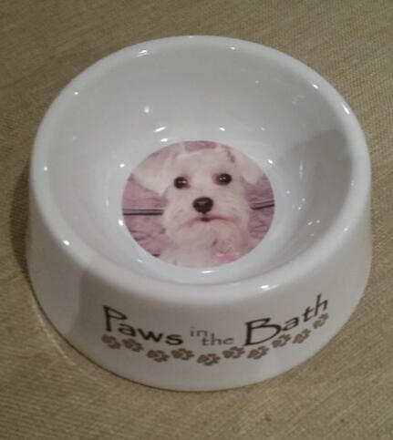 We print porcelain personalized dog and cat bowls for all shapes and sizes and of course cuteness too!