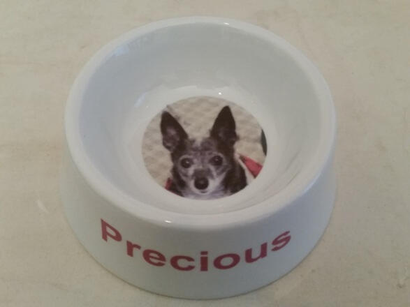 We print porcelain personalized dog and cat bowls for all shapes and sizes and of course cuteness too!